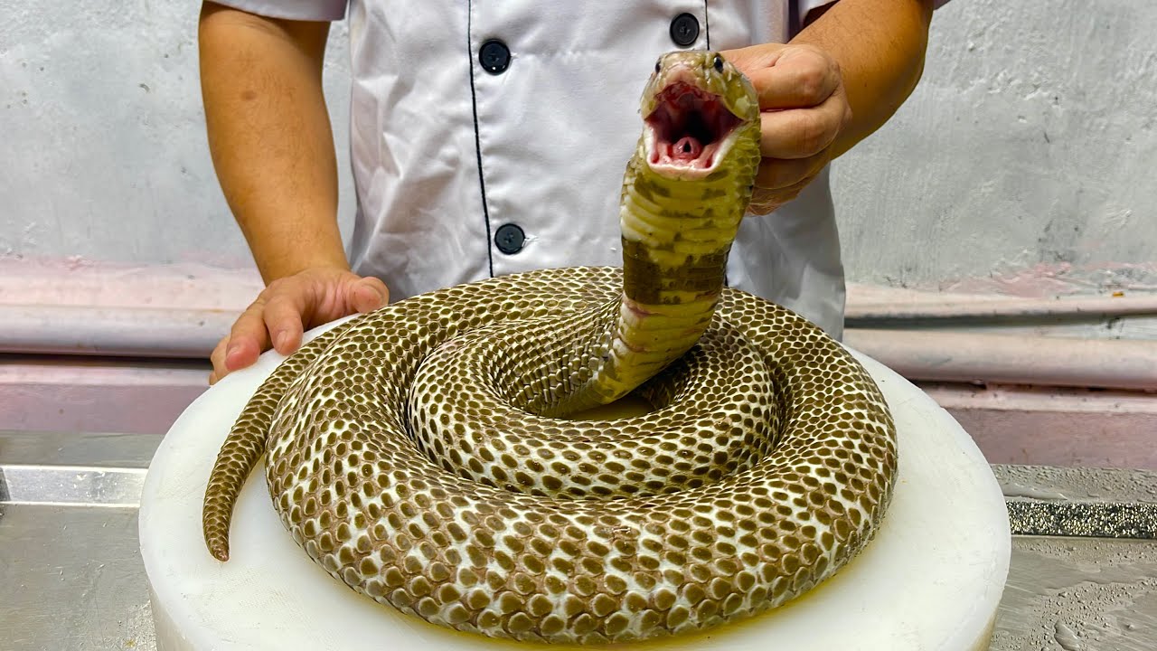 KING COBRA // L&yacute; H&agrave; My