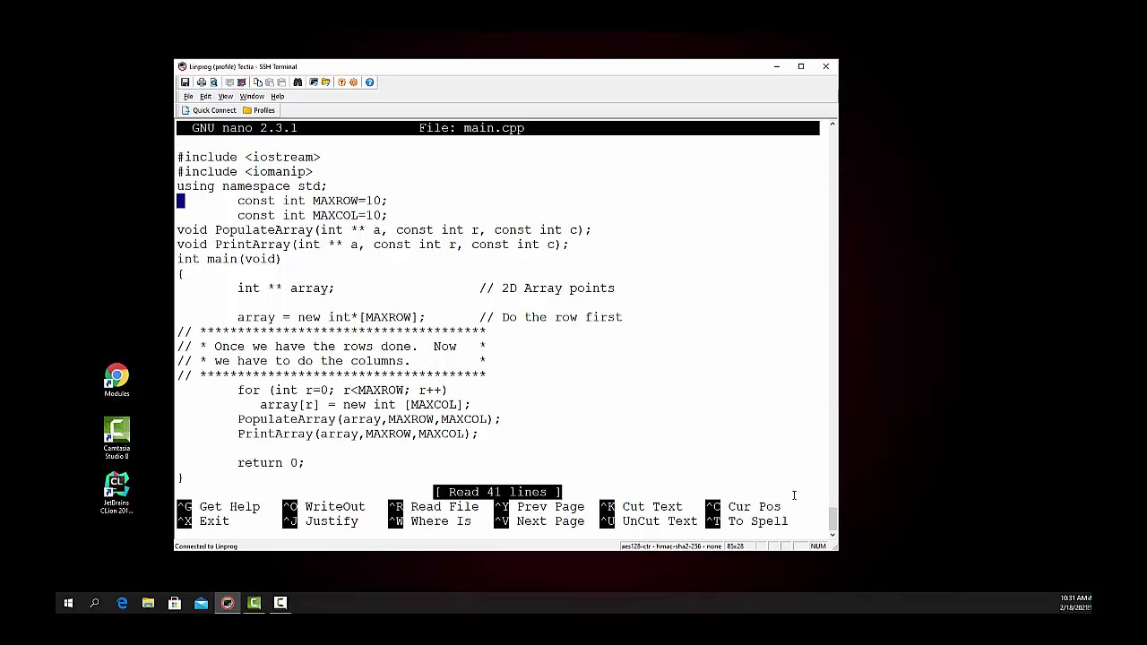 c++ Dynamic Allocation of a 2d Array example