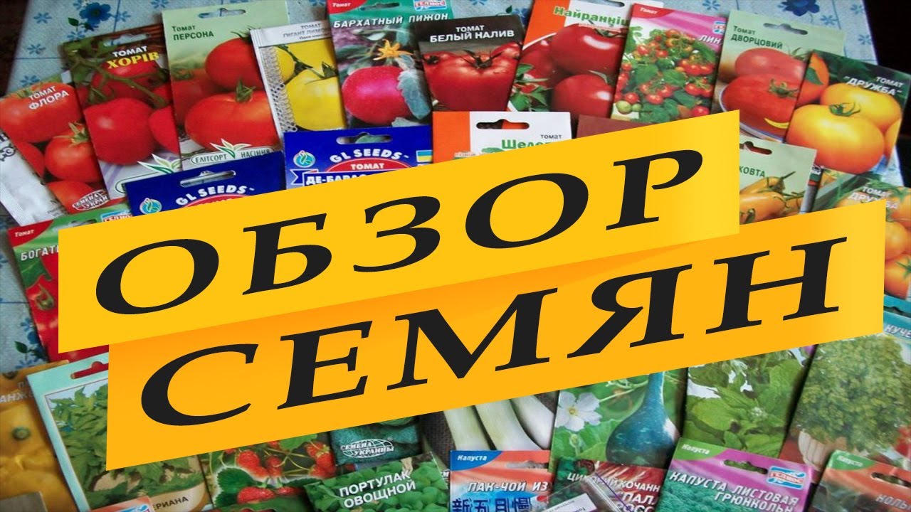 Обзор семян на 2020 год. Какие новинки купила.