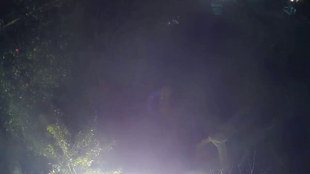 雨引観音　護摩祈願ライブ配信