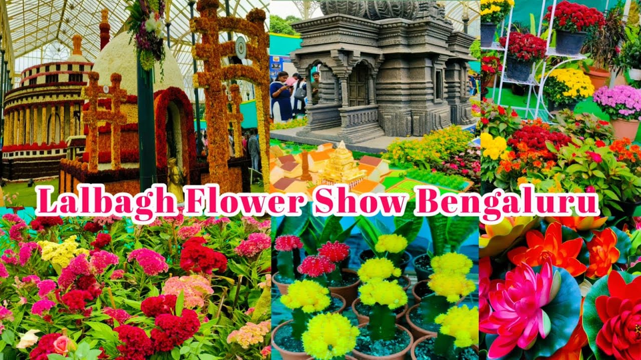 Bangalore Flower Show | Independence Day Flower Show to Honour Dr Ambedkar | Lalbagh Exhibition 2024