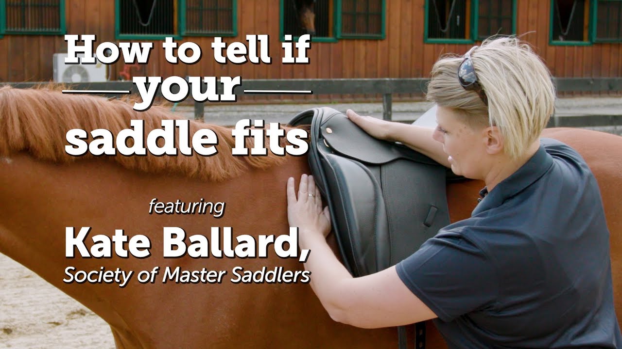How to tell if your saddle fits | Kate Ballard, Society of Master Saddlers