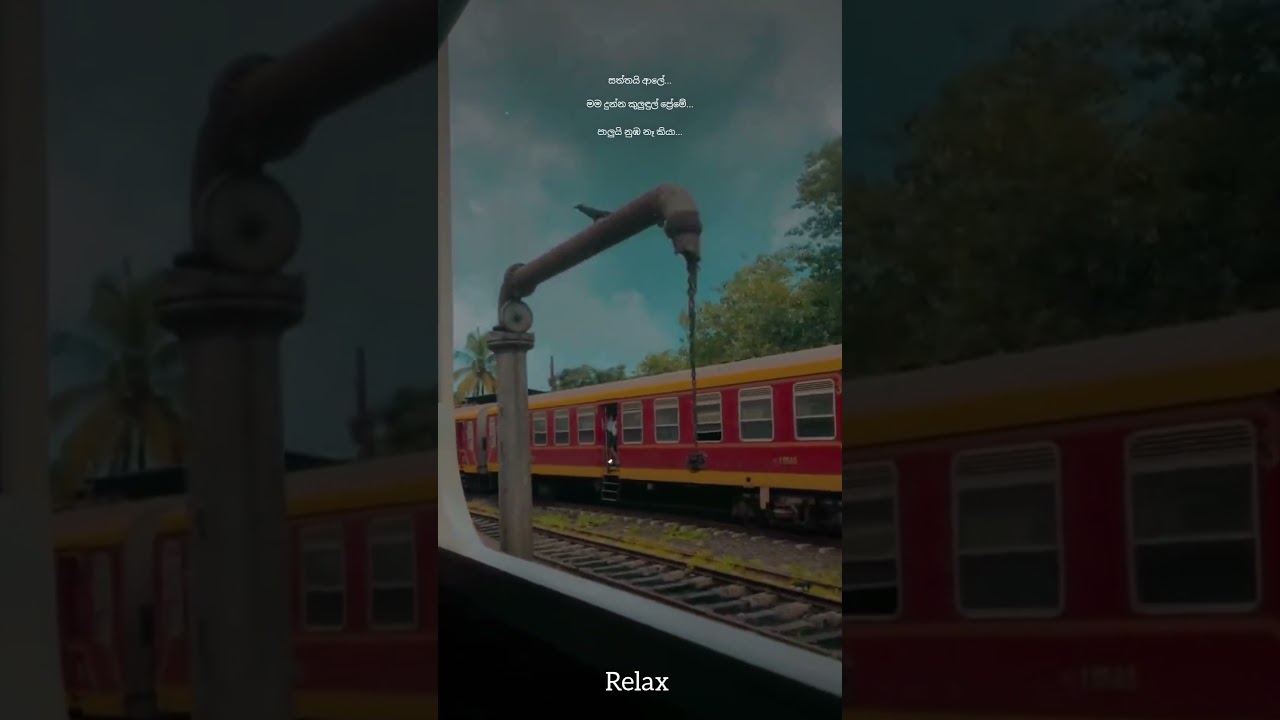 විකසිත මල් 🌻🎧 
