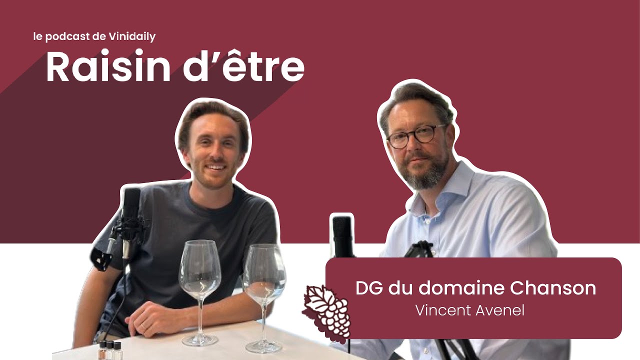 Épisode 4 :  Rencontre avec Vincent Avenel, Directeur du Domaine Chanson 🍷