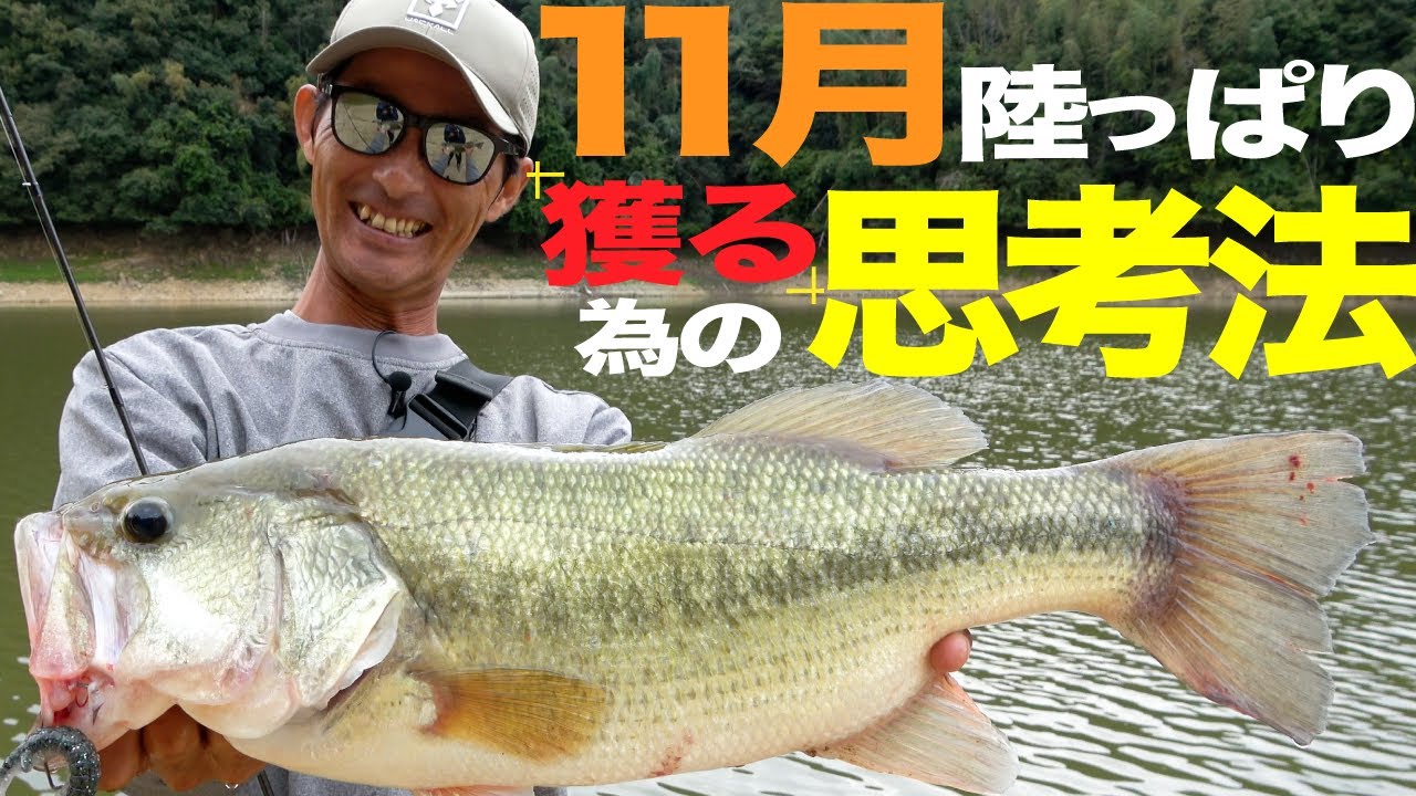 【バス釣り】釣れないと悩むそこのあなた！に贈る釣果直結の”ベーシック”攻略術/水野浩聡