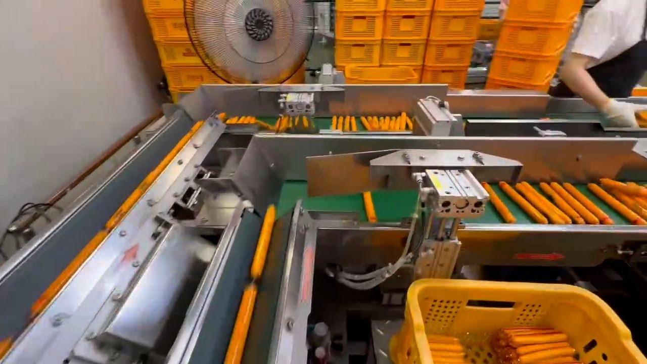 Food Grade Conveyor Belts in A Ham Sausage Plant