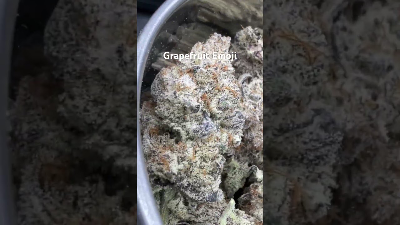 Grapefruit emoji @HomeGrowTV  @Highigan @cronknutrients