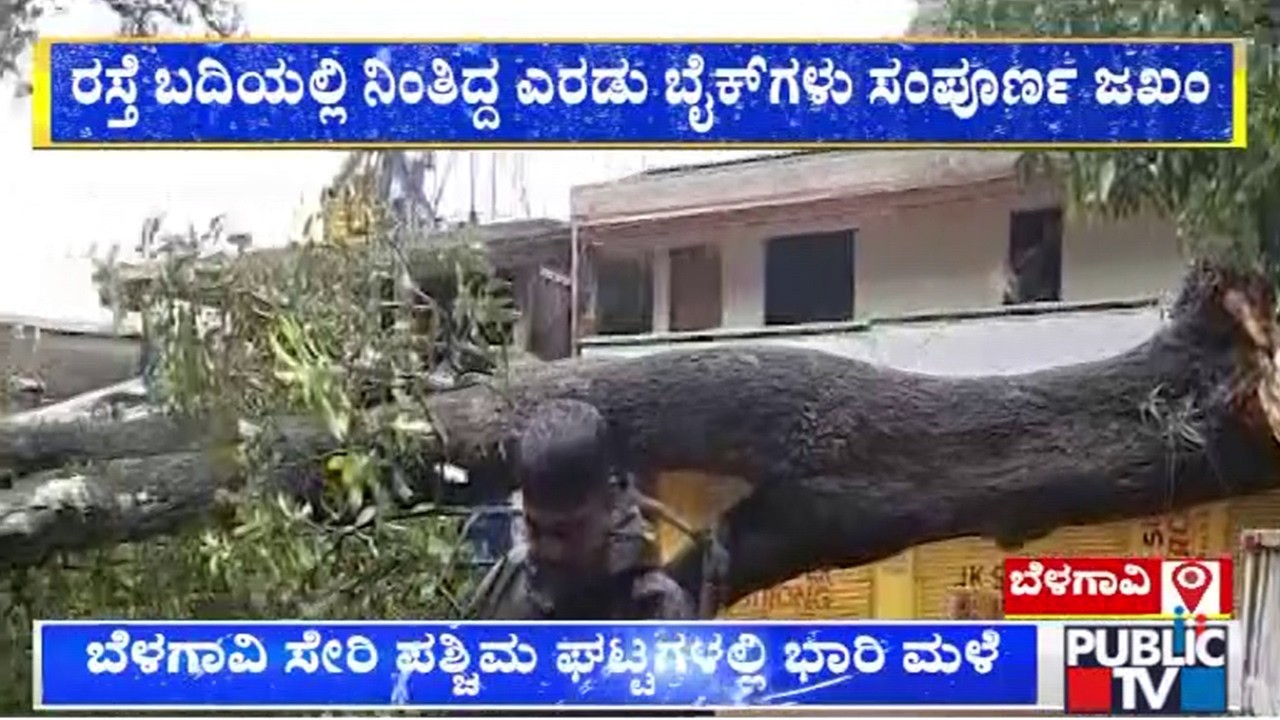 Huge Tree Falls Down In Khanapur Due To Heavy Rain | Public TV