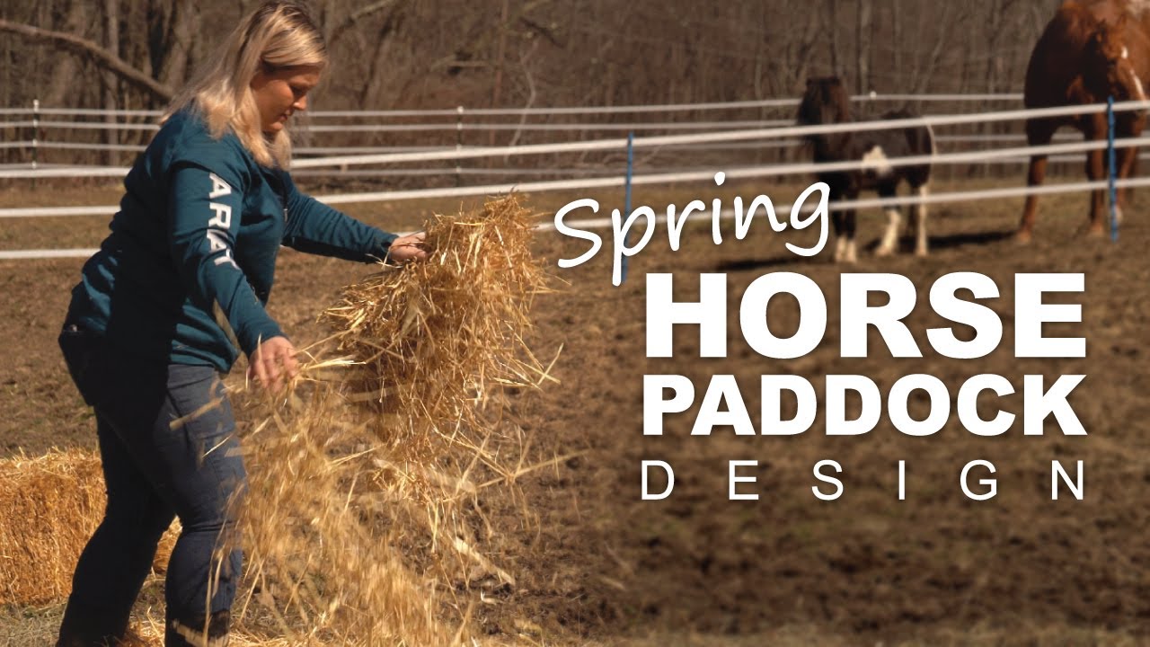 How To Design a Horse Paddock for Spring Grazing