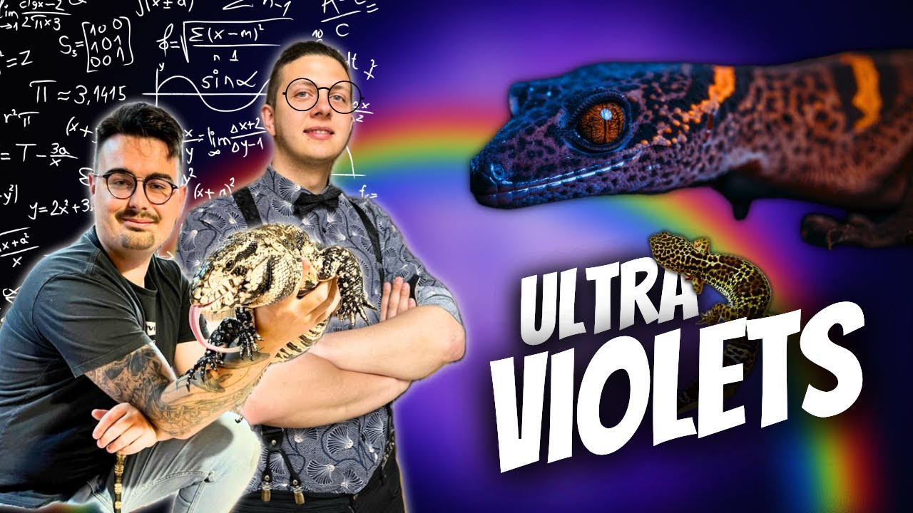 DES UV POUR NOS REPTILES ? (Avec Reptile Systems) [Vulga Wild - Ep 12]