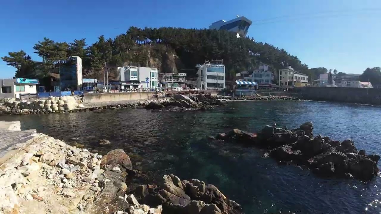 삼척 장호항(2026.02 / 공사중)