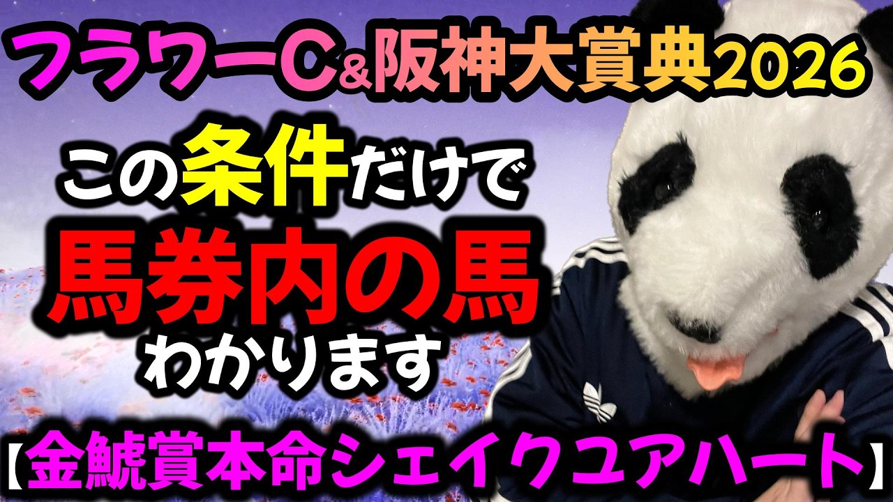 【フラワーC2026 阪神大賞典2026 勝ち爆穴馬共通点🐼】11週連続動画出の推奨馬が好走馬中‼️これを狙うだけで馬券内の馬わかります🐼