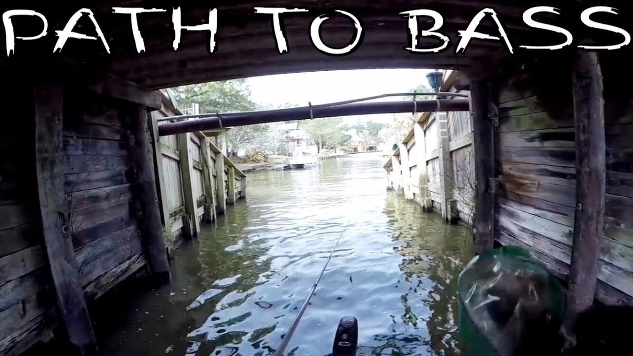 2018 Big Bass Tour Lake Conroe Day 2