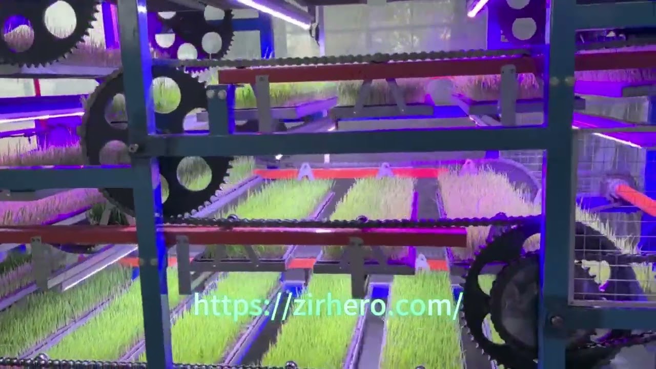 Automated Indoor Parallel Vertical Hydroponic Moving System for Space-Saving, Year-Round Planting