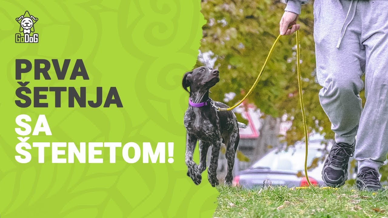 Prva Avantura: &Scaron;etnja sa Mojim &Scaron;tenetom!