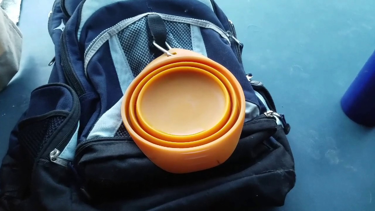 Kurgo Collaps-A-Bowl Collapsible Bowl - Review and Use Tips