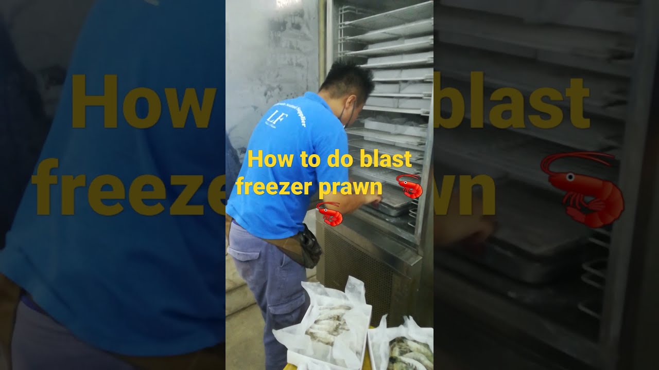 HOW TO DO PRAWN PACKAGING BY USING BLAST FREEZER ? !!!! IQF PROCESSING METHOD 