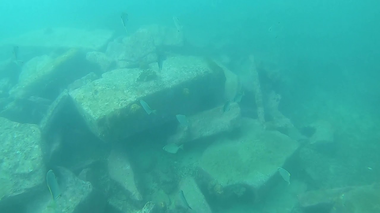 Catherine Hill Bay - diving at the coal loader