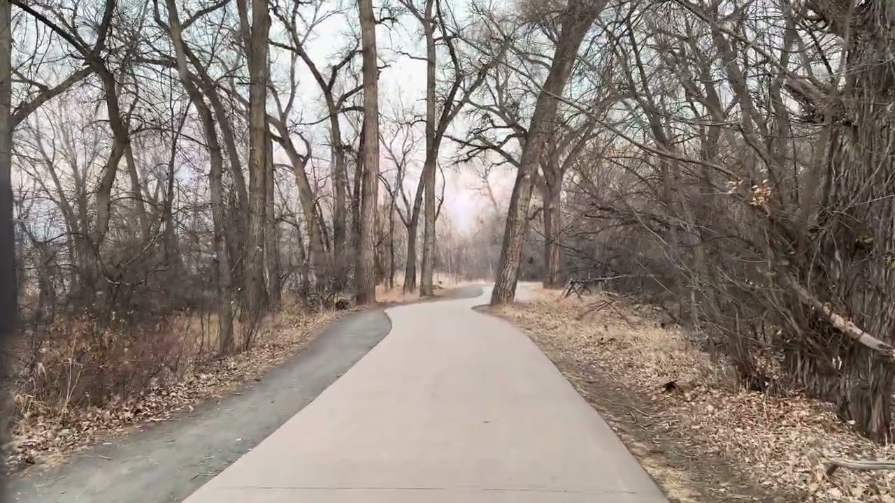 Peaceful Walk at Lee Martinez Park 🌳 |  Fort Collins Nature Stroll