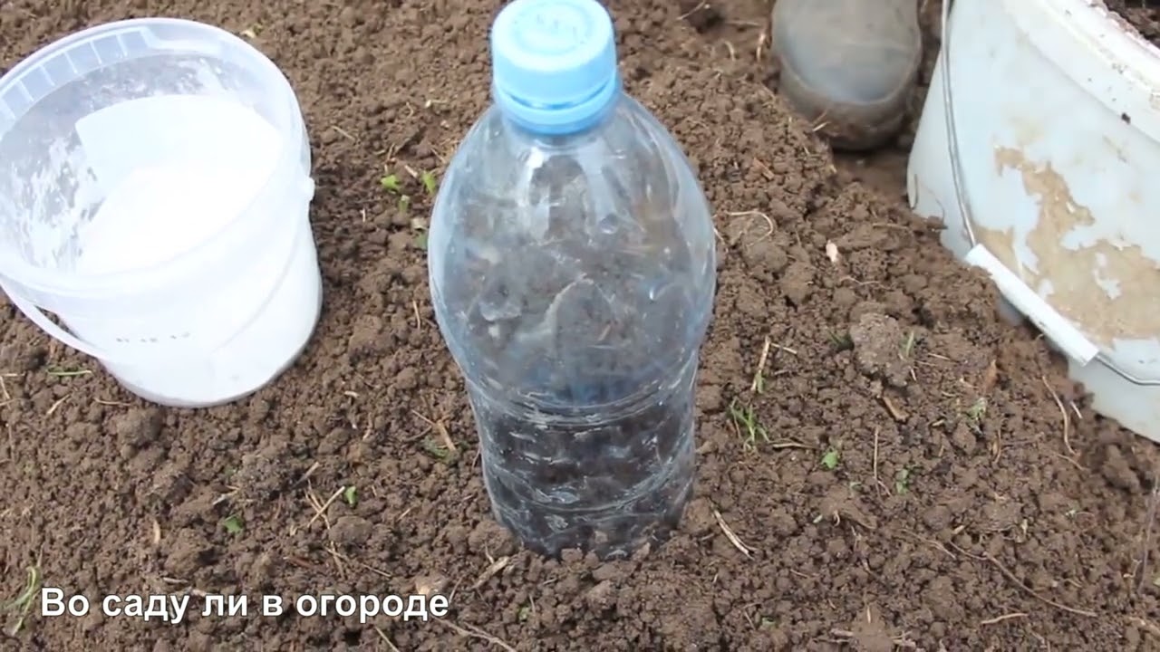 ПОСЕВ КАПУСТЫ ПОД БУТЫЛКИ. РАССАДА БОЛЬШЕ НЕ НУЖНА, СЕЕМ СРАЗУ В ОТКРЫТЫЙ ГРУНТ!
