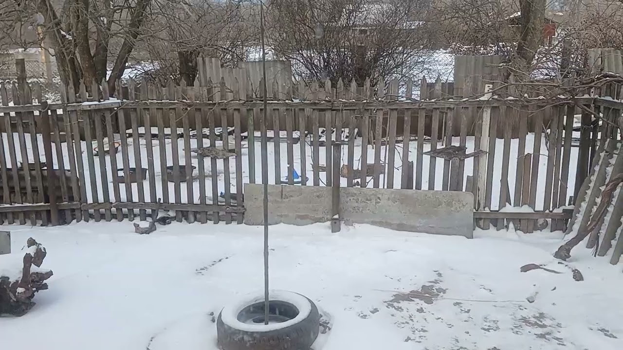 Сегодня Просто Мороз, Но Снег Больше не Выпал...🙂❄️⛄️