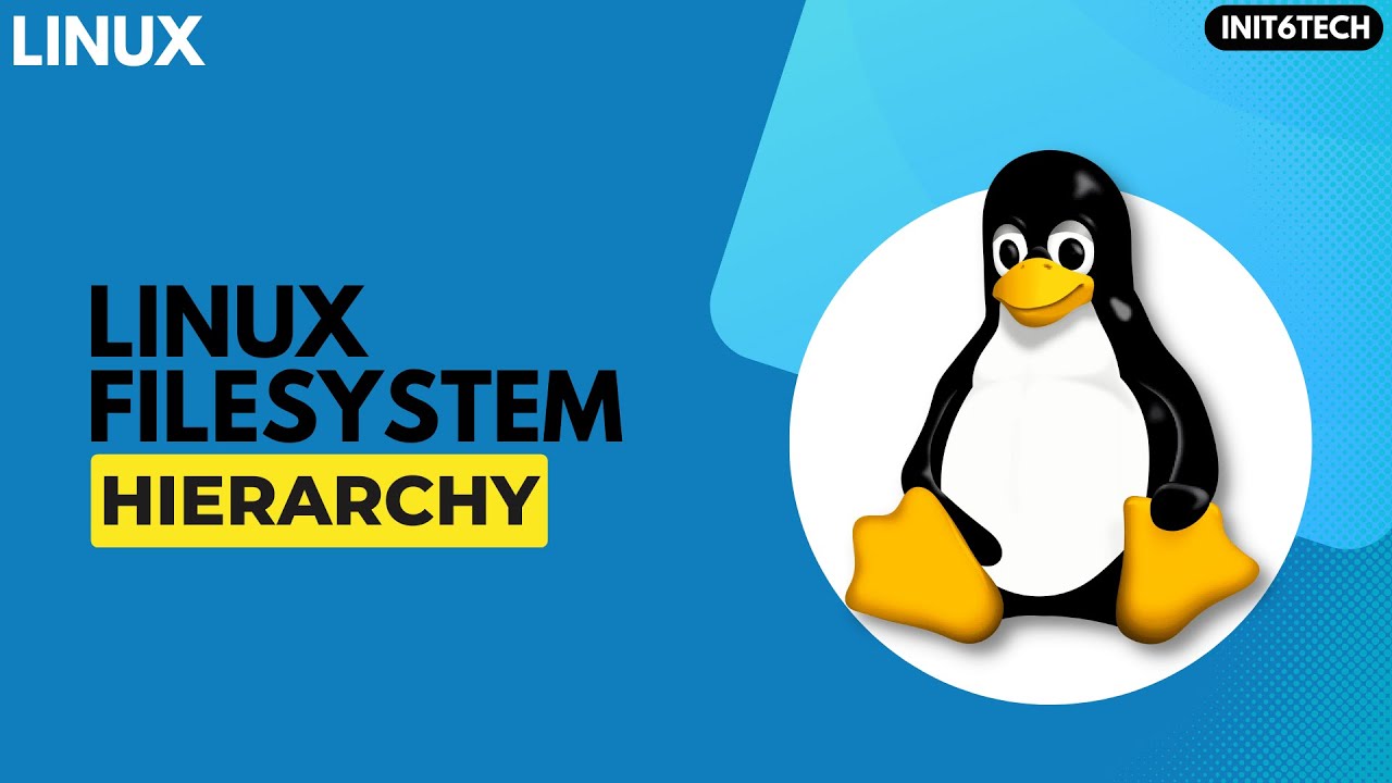 Linux filesystem hierarchy explained