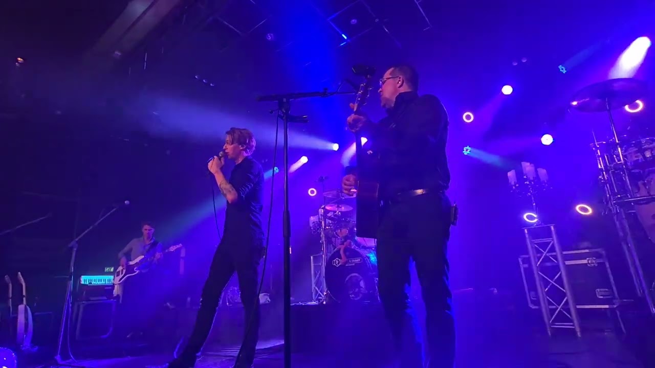 Tribute to the catsband  16 januari hotel zuiderduin egmond aan zee 