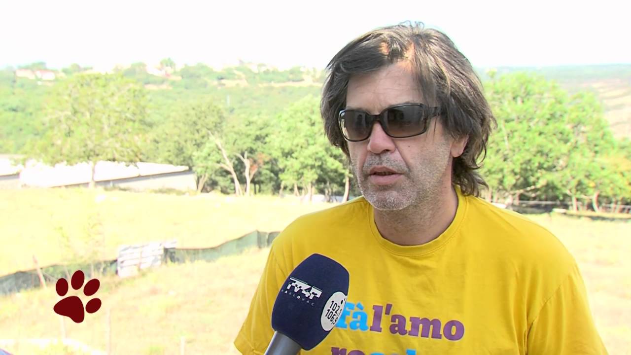 Životinjska farma 19 17092016 Bolest kvrgave kože, Uzgoj koza, općina Marčana