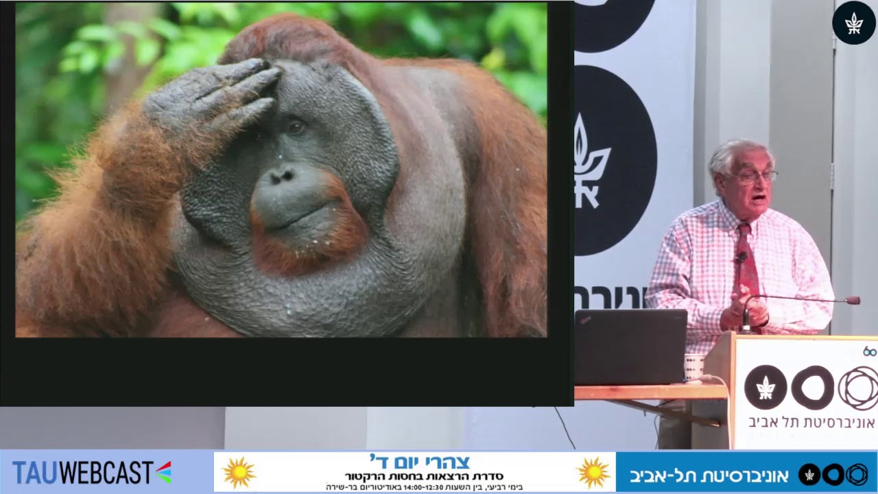 אנו וקרובינו המידיים: קופי־העל החיים כיום