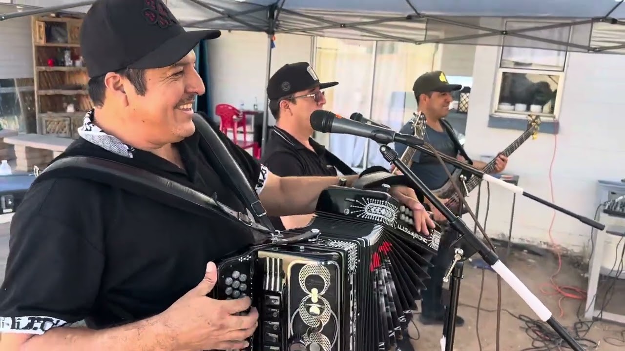 Los gallitos de chihuahua
