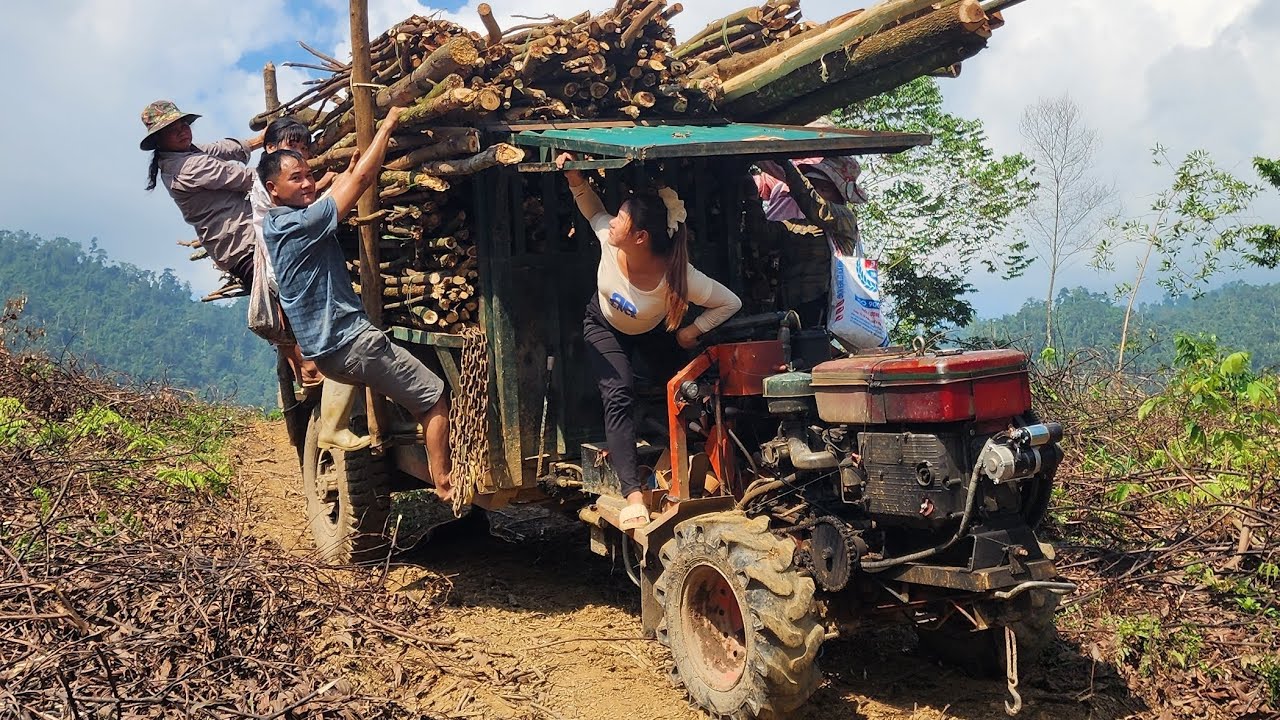 Agricultural vehicles transport dry firewood and have overcome extremely difficult dirt roads.