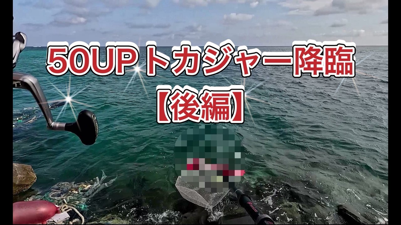 50cm超えトカジャー降臨！！【後編】