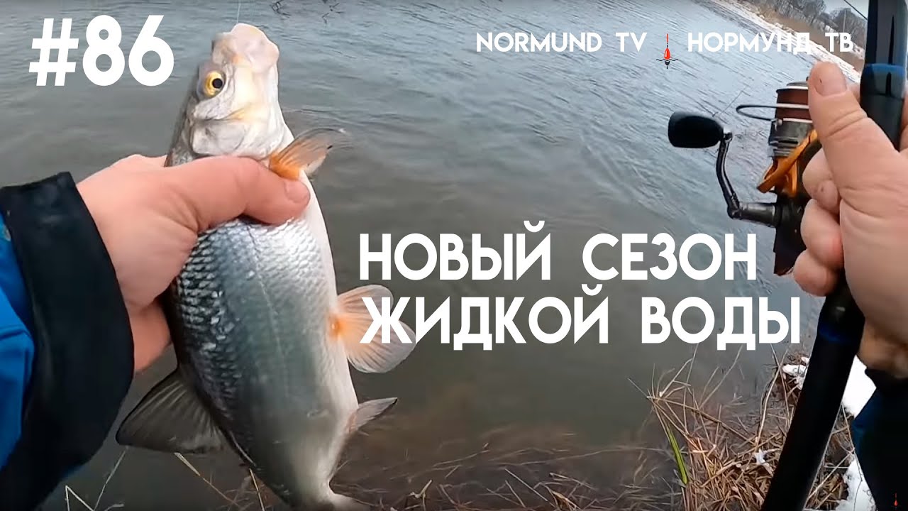 Новый сезон жидкой воды, удочка аж трещит !!! Но 86,  