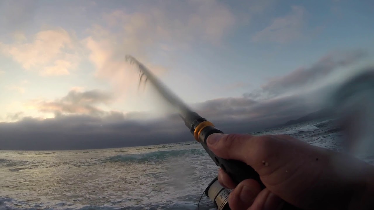 Sea trout, Brown trout and Bass in remote North Scotland