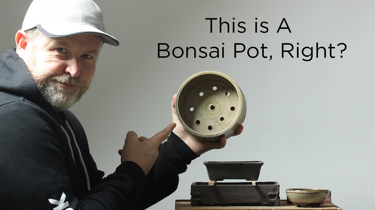 Bonsaify | Знание этих деталей поможет вам улучшить горшки для бонсай!