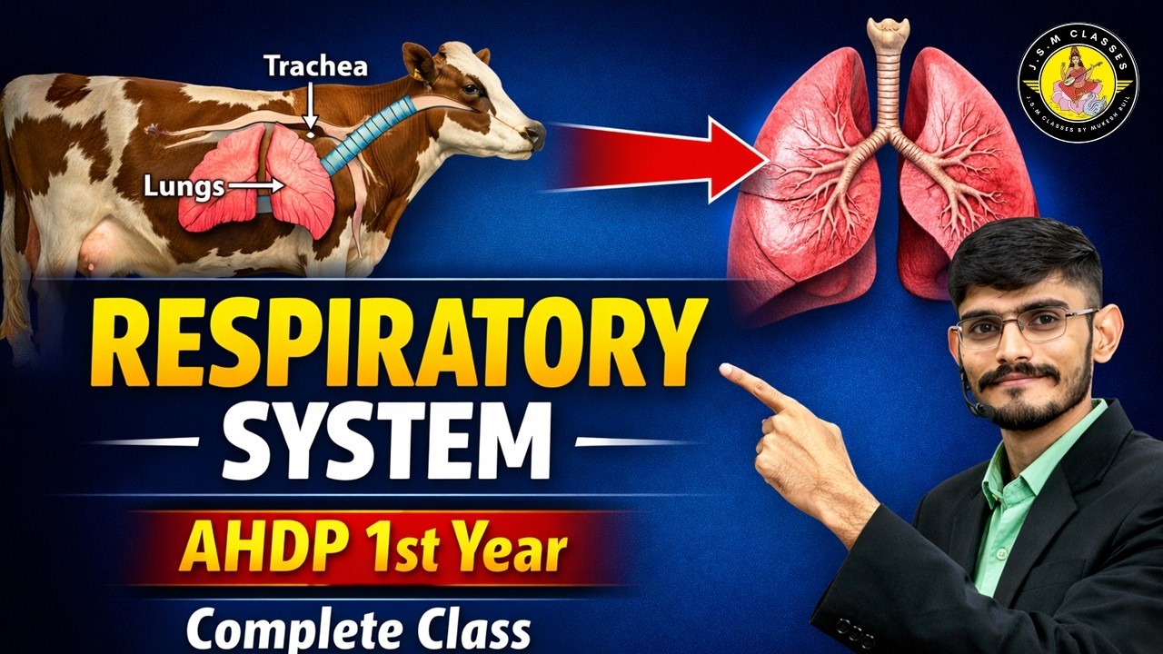 Respiratory System of Domestic Animals |AHDP 1st Year Anatomy| Veterinary Anatomy Class| JSM Classes