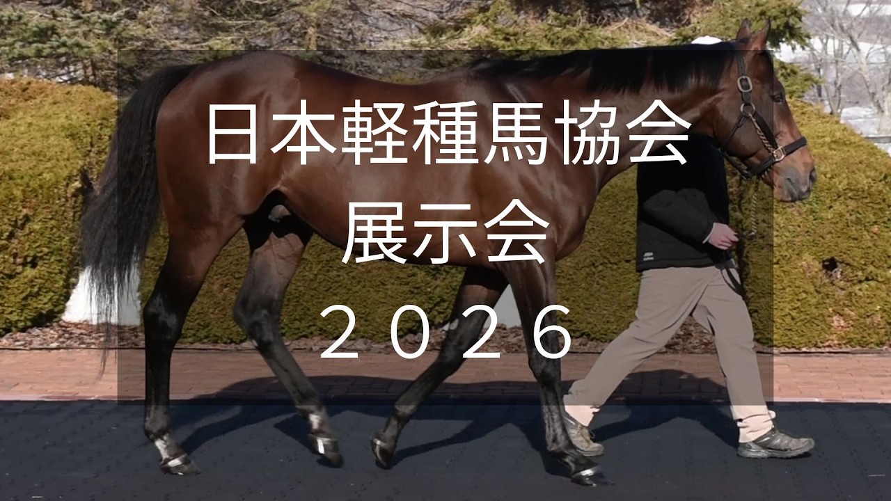 【日本軽種馬協会展示会2026】米3冠などGI8勝アメリカンファラオなど9頭が登場！