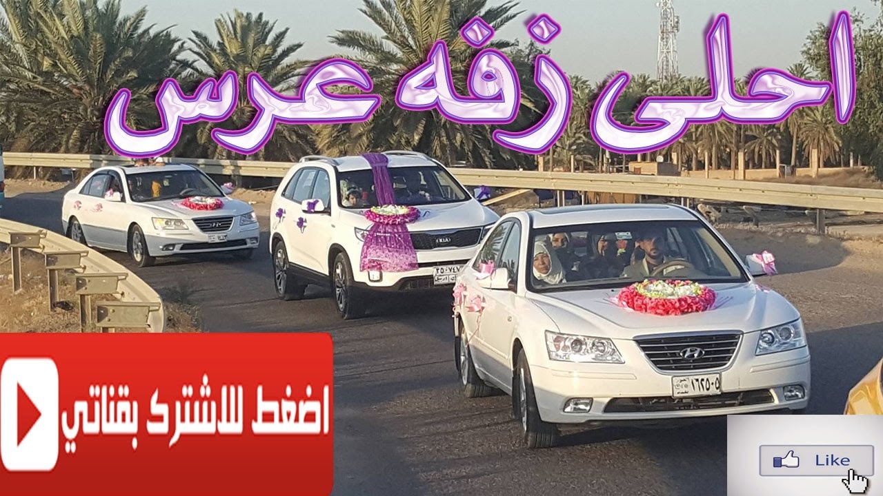 احلى زفه عرس في شوارع بغداد ردح خرافي | عرس اخي 