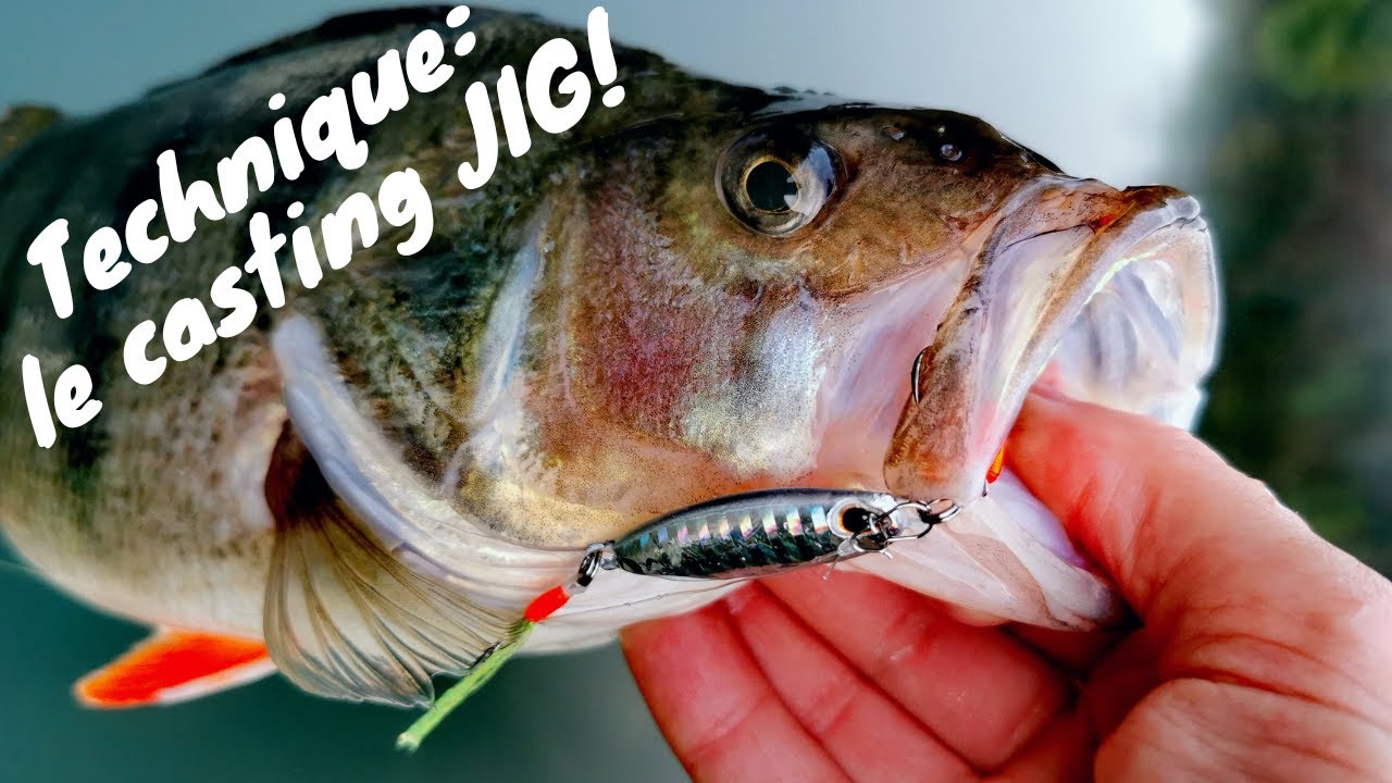 Perche, sandre, brochets au CASTING JIG!