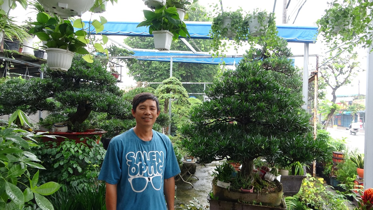 VƯỜN KIỂNG MINH KHANG - 0913767693 SONG HÀNH HÓC MÔM TP HCM XIN MỜI QUÍ KHÁCH GHÉ THĂM .