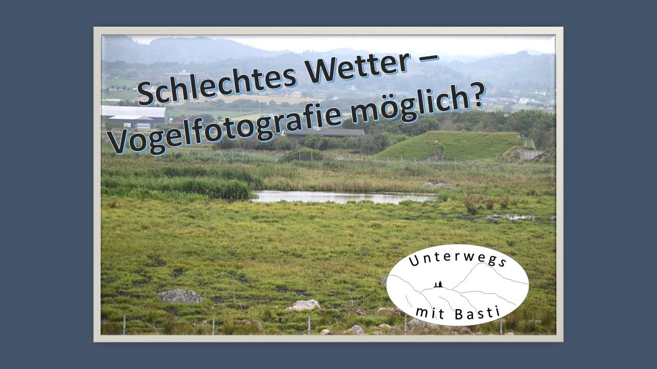 Unterwegs mit Basti: Vogelfotografie in Lista