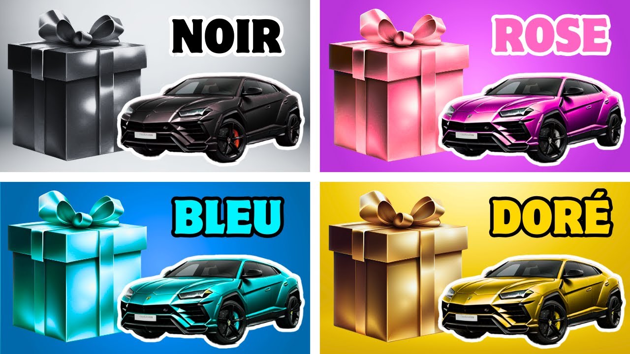 CHOISIS TON CADEAU 4 🎁😍💜 || Défi des 4 Boîtes Cadeaux ! || Choose Your Gift