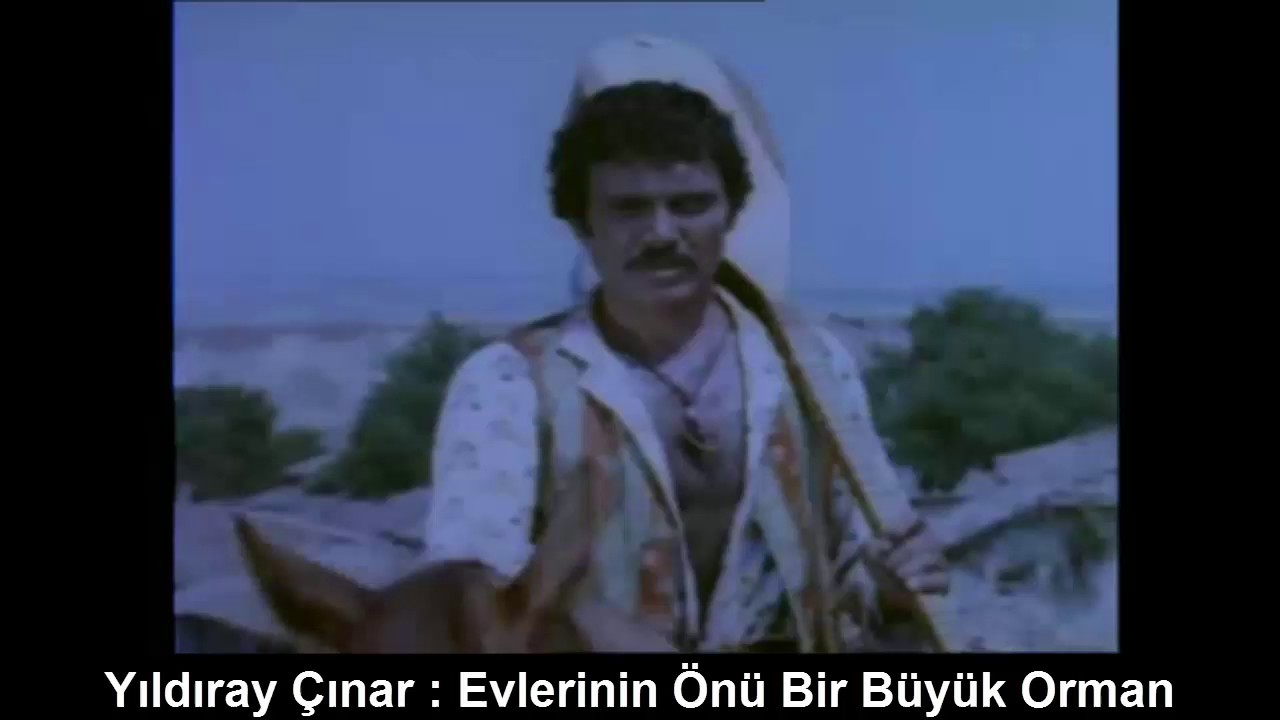 YILDIRAY ÇINAR : EVLERİNİN ÖNÜ BİR BÜYÜK ORMAN