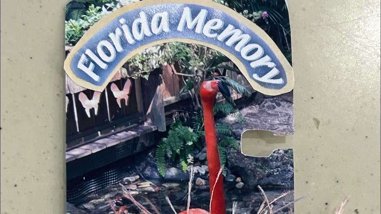 #abcjlc2026 Letter F - hosted by me! 😁 Jodi Lewis Creations