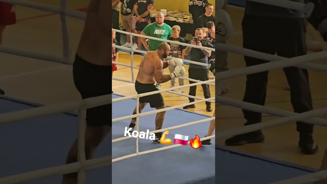 #boks #boxing #koala #music #skwierzyna #skwnabeats #rap #dnb #prl #fight