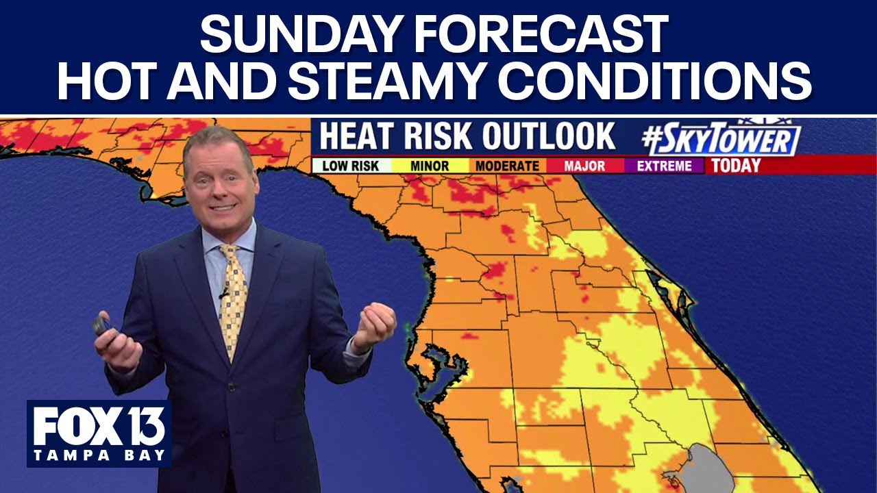 Tampa weather | Warm and partly cloudy