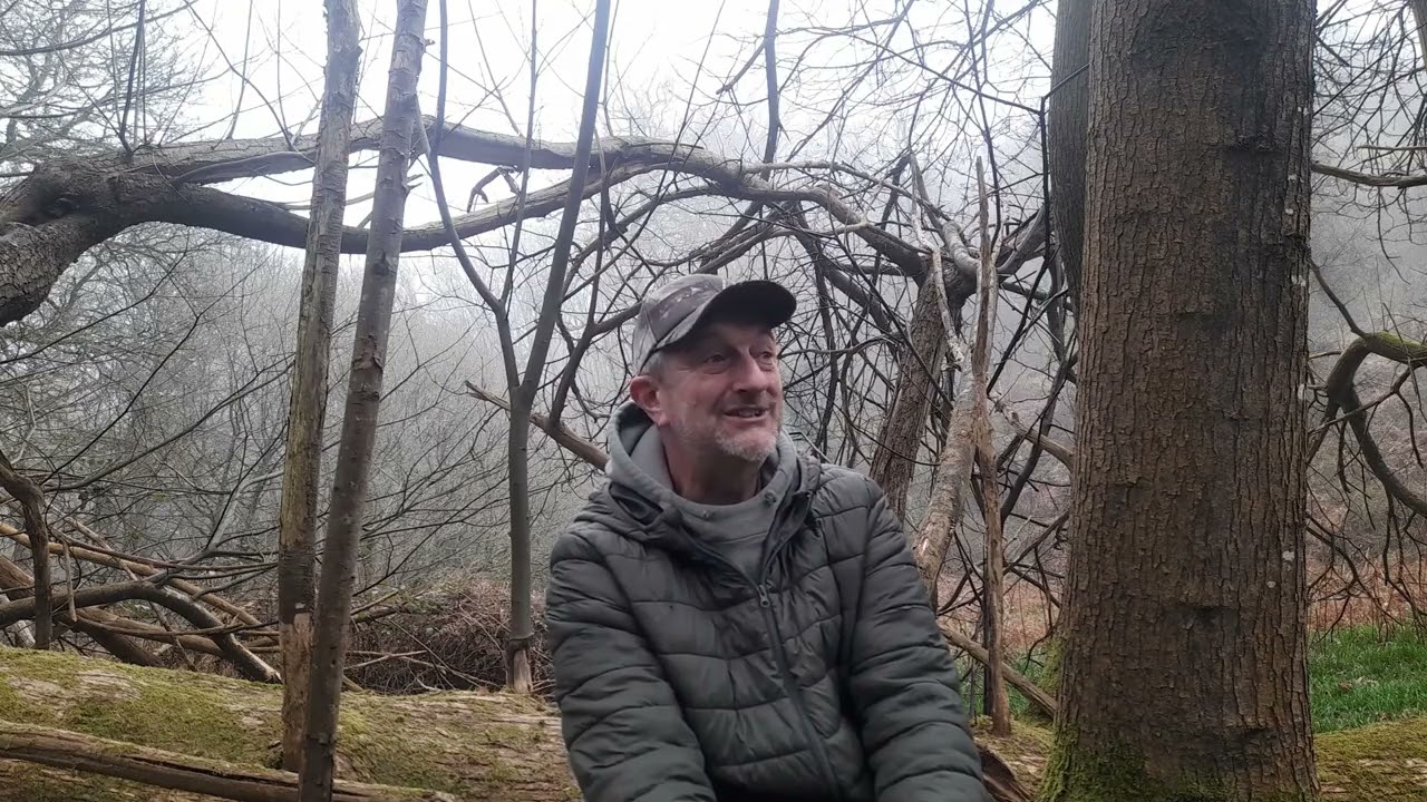 Вернулся в лес после отпуска