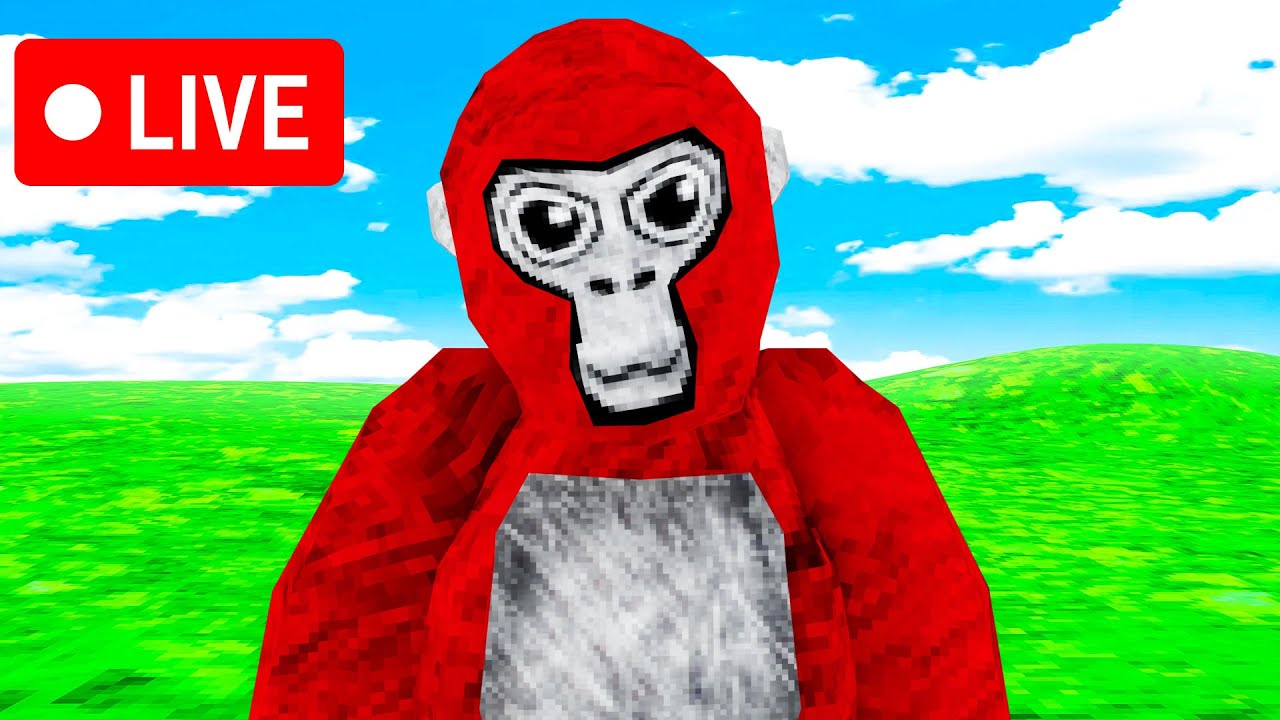 Gorilla Tag Live With Viewers (Gorilla Tag VR Live)  SUB= HOLY MOLY