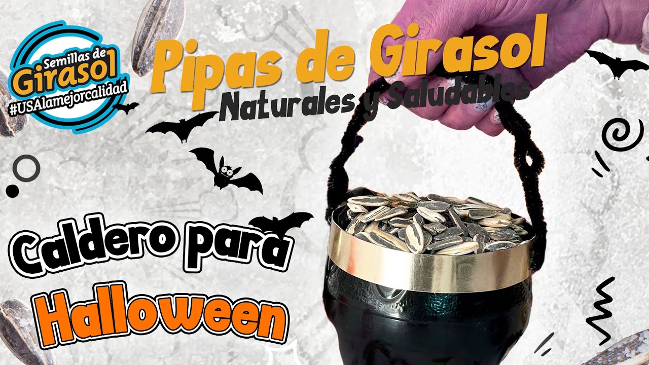 Caldero de Bruja con botellas recicladas 🧙🏼 #halloween #decoracion #superfood