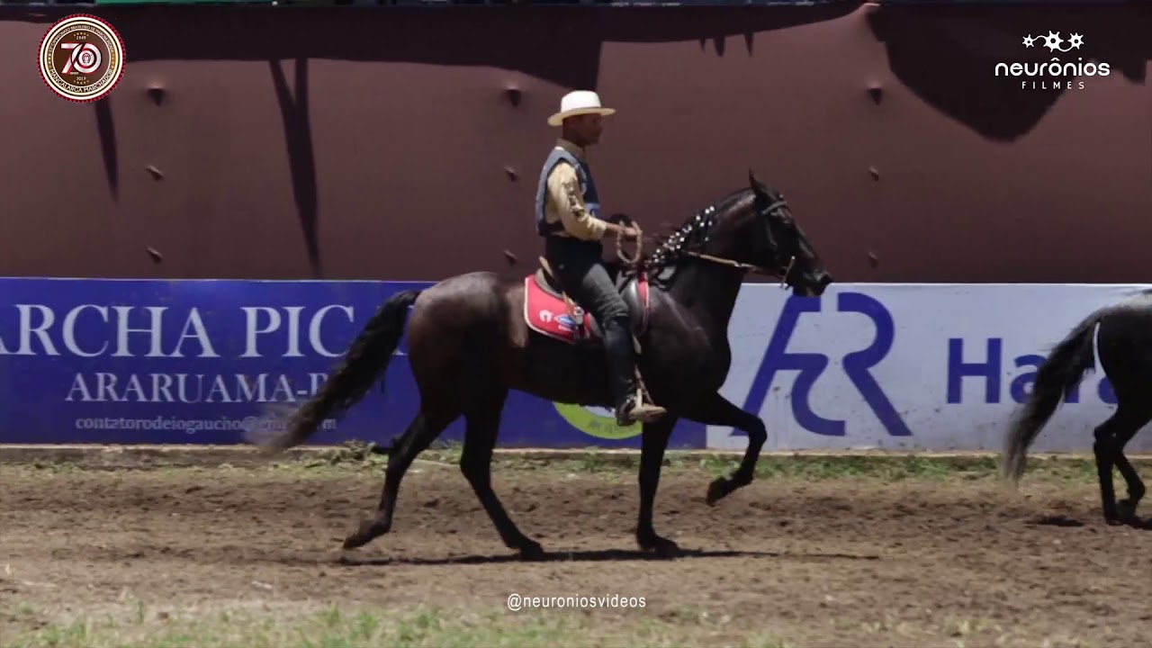 M&ocirc;naco do Monteiro Campe&atilde;o Brasileiro de Marcha Picada 2019